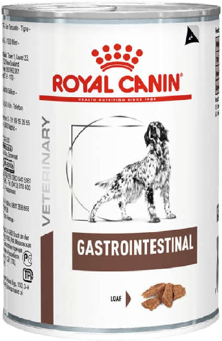melhor ração gastrointestinal para cães e gatos